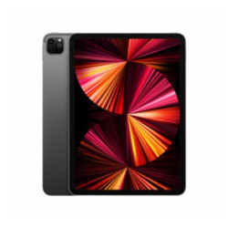 Apple iPad Pro 11 256GB WiFi Spacegrau (2021)