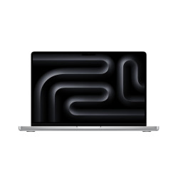 Apple MacBook Pro 16" M4 MAX (2024) 1TB 36GB RAM 32C GPU  Silber MX2V3D/A