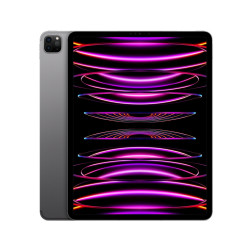 Apple iPad Pro 11 (2022) 512GB WiFi Spacegrau