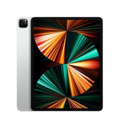 Apple iPad Pro 11 (2021) 256GB WiFi  spacegrau