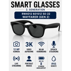 Ray-Ban Meta Wayfarer (Gen 2) RW4012 601S1Z 50-22
