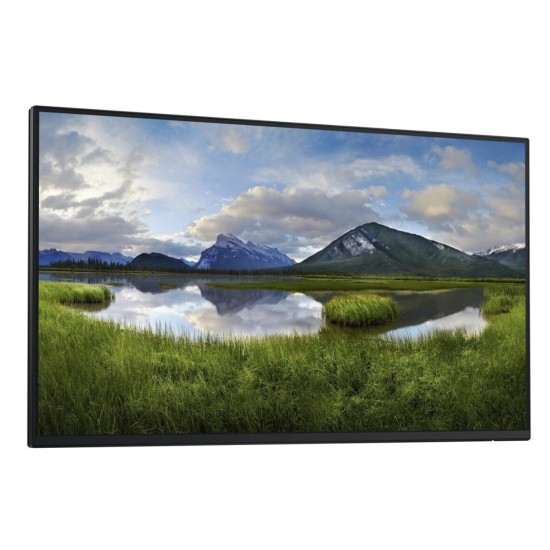 Dell P2425H WOST Dell P2425H WOST